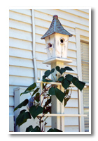 Reid House birdhouse birdhouse photo