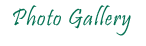 photos header