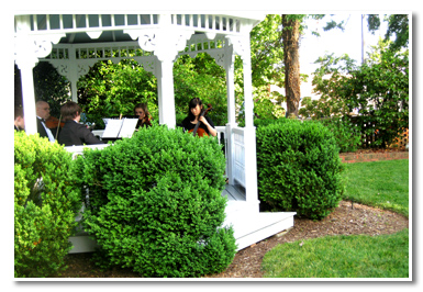 Wedding musicians wedding musicians